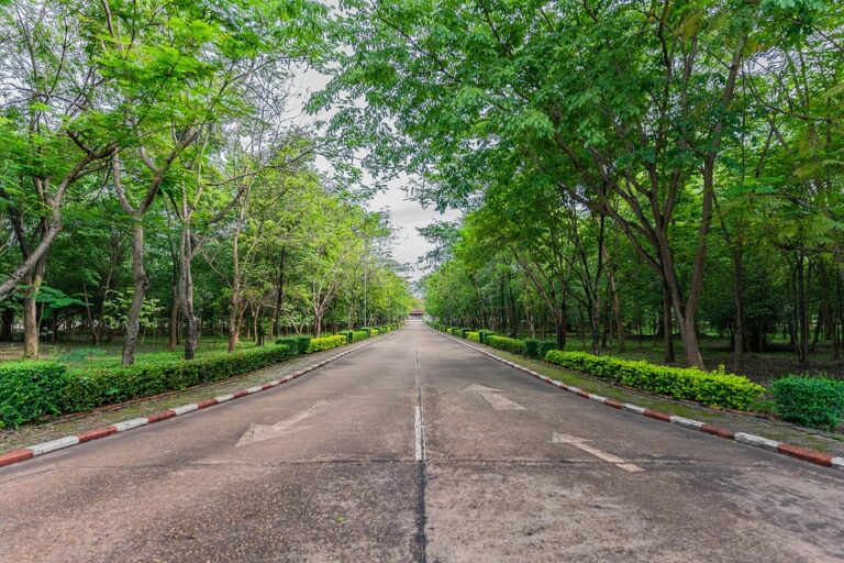 Program Beasiswa dan Bantuan Keuangan bagi Mahasiswa Universitas Islam Madinah